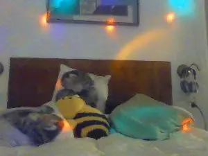 Cam4 Live Sex of AlanyAdam