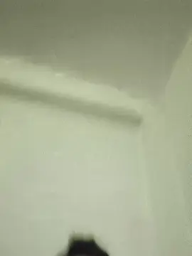 Cam4 Best Webcam of Rodrigop1acere