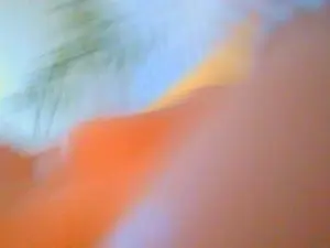 Cam4 Sex Chat of Oynu