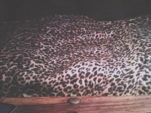 Cam4 Best live sex cam show of jan63_fun