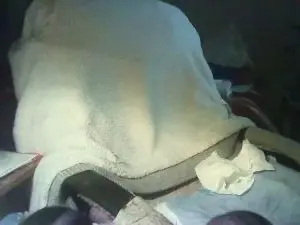 Cam4 Adult Video Chat of Hotbanana62