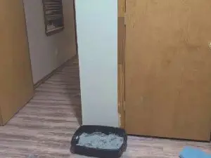 Cam4 Best live sex cam show of Opondestrea