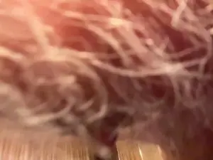 Cam4 Best live sex cam show of 4n4l1zz4m1