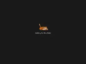 Cam4 Adult Webcam of Fucking_Pervert