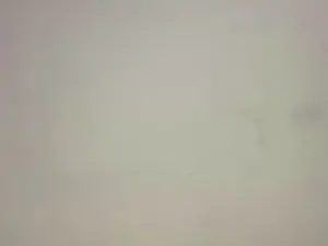 Cam4 Sex Cam of Sofi_hottt