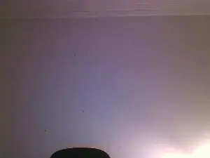 Cam4 Free Porn Cam of ice_monkey