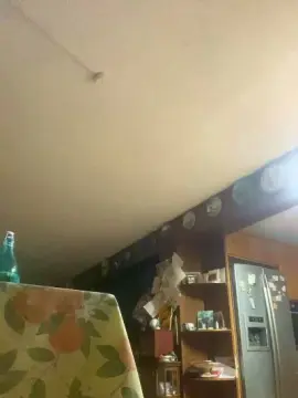 Cam4 Live Porn of dandy3