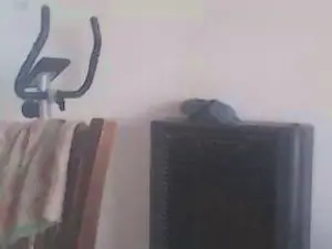 Cam4 Adult Webcam of jacintos2