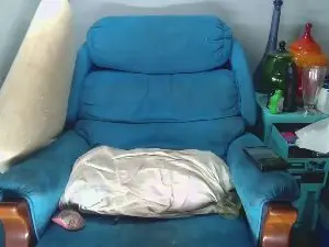 Cam4 Private Sex Chat of Toys_Story
