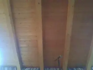 Cam4 Adult Webcams of shaggyvery