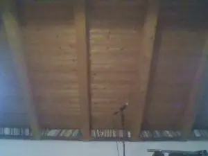 Cam4 Sex Chat of shaggyvery