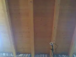 Cam4 Sex Chat of shaggyvery