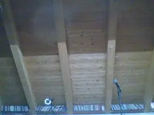Cam4 Live Porn of shaggyvery