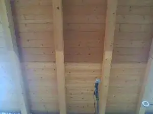 Cam4 Free Porn Cam of shaggyvery