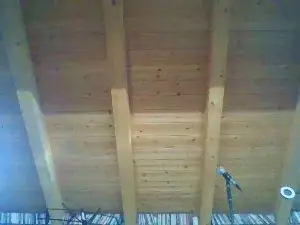 Cam4 Free Porn Cam of shaggyvery