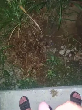 Cam4 Live Porn of florin166