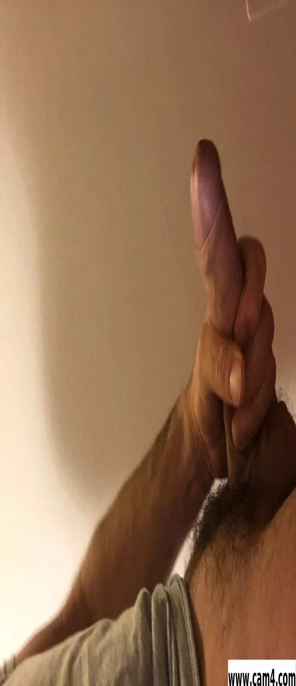 telodo73