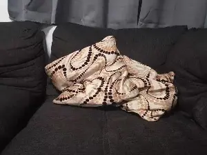 Cam4 Sex Cam of Delafount