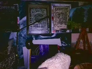 Cam4 Best live sex cam show of blindsurfer
