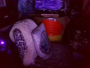 Cam4 Best live sex cam show of blindsurfer