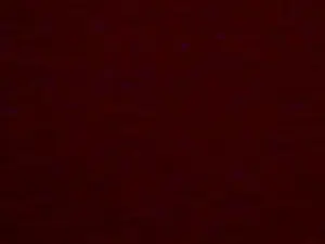 Cam4 Adult Webcam of Sabrinacasada