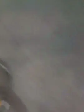 Cam4 Best Webcam of brferreira71