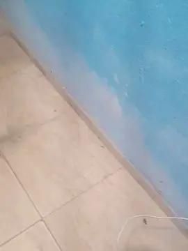 Cam4 Private Sex Chat of brferreira71