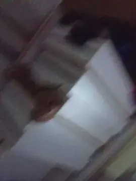 Cam4 Live Porn of brferreira71