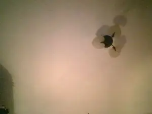 Cam4 Live Porn of Ximenahotonly
