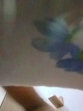 Cam4 Live Porn of jel0474