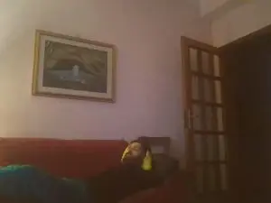 Cam4 Sex Cam of DmtrijD