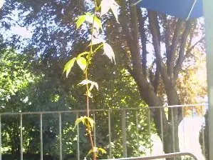 Cam4 Nude Webcam of benjamin_82