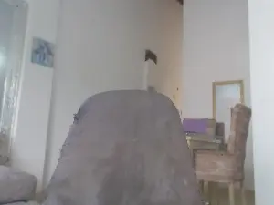 Cam4 Private Sex Chat of Dannahotxx