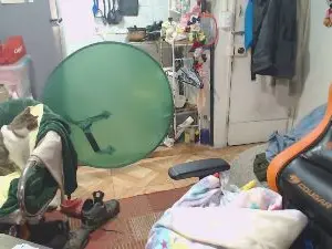 Cam4 Live Sex of ardillaonfire