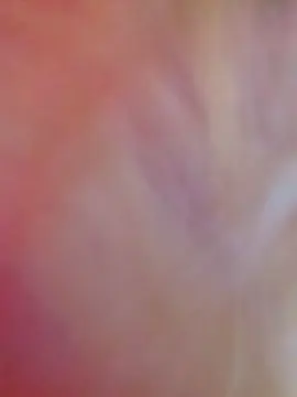 Cam4 Live Sex of Couplebibdx