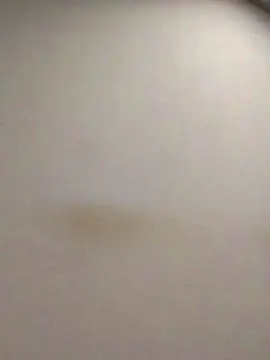 Cam4 Live Sex Cam of tonytuga