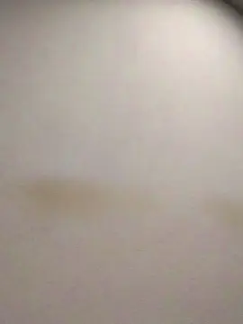 Cam4 Live Sex of tonytuga