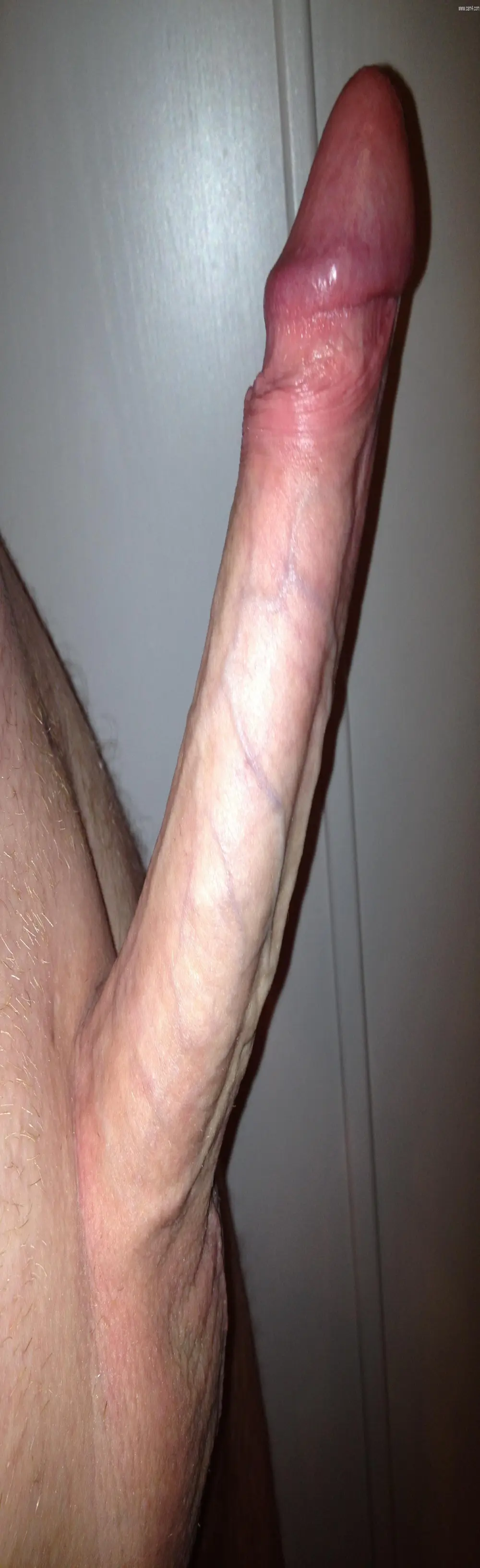 ramnit_ch