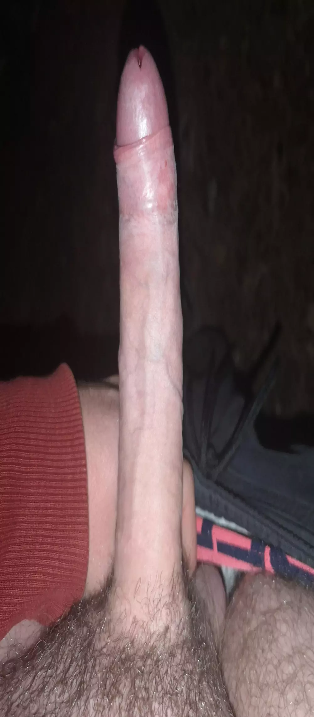 R8_MY_SNAKE