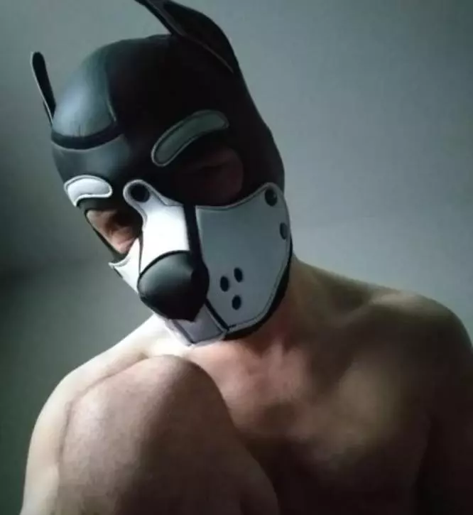 Neo_Dog