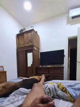 Cam4 Live Sex Cam of nestor19622