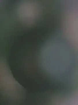 Cam4 Private Sex Chat of fitmaxxx