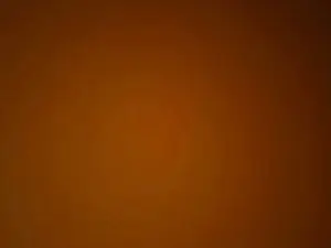 Cam4 Adult Webcams of Jackmatt1442
