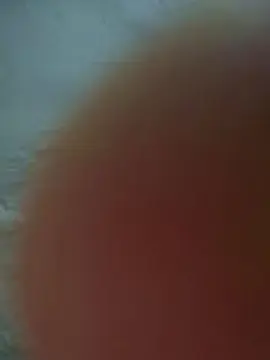 Cam4 Best live sex cam show of Quique22