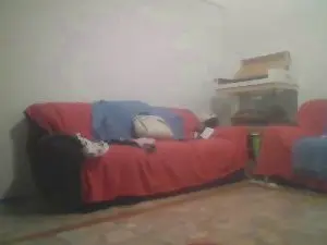 Cam4 Live Sex of zena_xxx