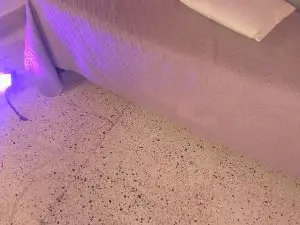 Cam4 Live Sex of Bellatrix_1