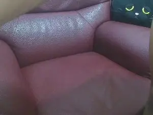 Cam4 Best live sex cam show of likebesucked