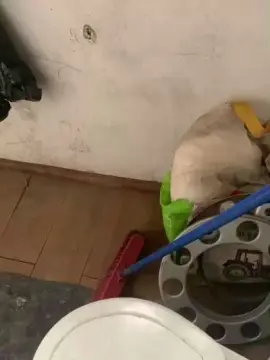 Cam4 Live Porn of Negrojugoso22