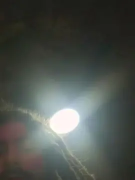 Cam4 Sex Chat of hornycockk6