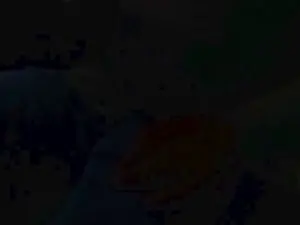 Cam4 Adult Webcam of maturo32